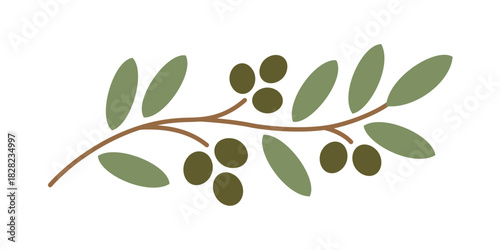 Simple flat vector illustration of an olive branch with green leaves and dark olives, representing Mediterranean food and peace.
