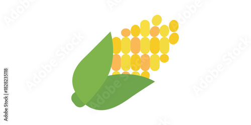Stylized corn on the cob partially covered by green husks, a delicious vegetable flat vector illustration.