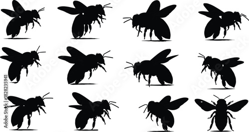 Collection of hand gesture silhouettes showing various signs, symbols, signals and expressions for communication, design, illustration, education and graphic projects