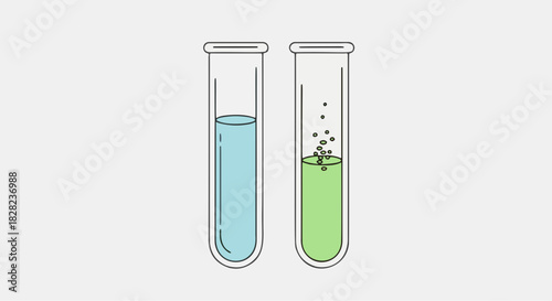 test tubes with liquid in it and chemical reaction bubbles vector