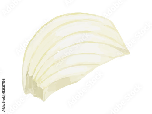 くし切りタマネギのベクターイラスト 料理素材