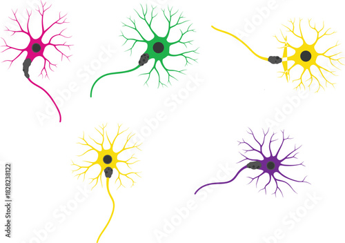 Colorful neuron cell illustration with dendrites, axon, nucleus and myelin sheath, scientific neural structure drawing for education, biology and neuroscience