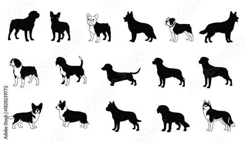 Diverse dog breeds: collection of pet silhouettes and outlined animals, vector graphic pack Vector