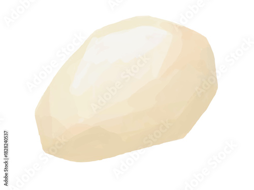 里芋 皮むき済み ベクターイラスト