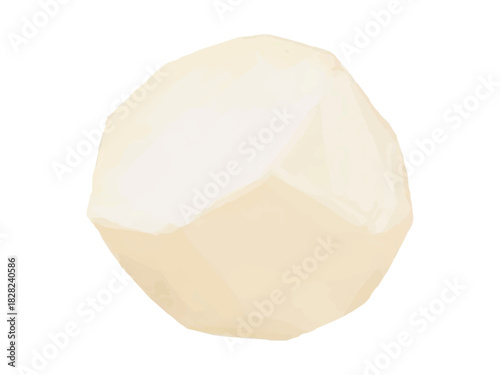 皮剥き里芋の半分カットのベクターイラスト