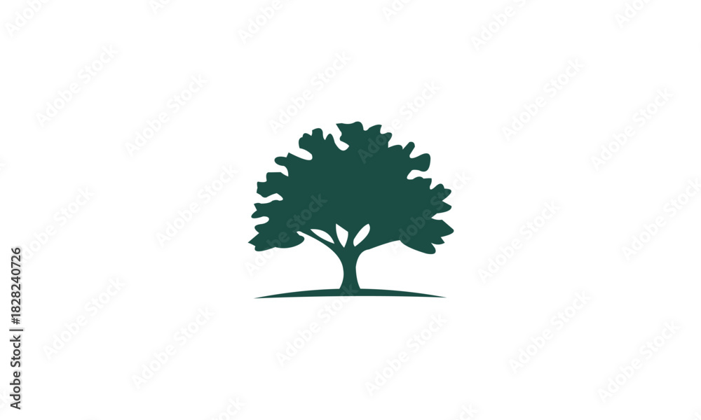 Obraz premium green tree with roots