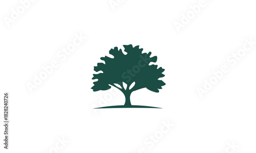 green tree with roots