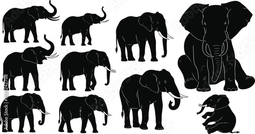 PrintSilhouette of African elephant vector illustration set, black and white wild animal collection for logo design, isolated on white background, sitting and walking poses.