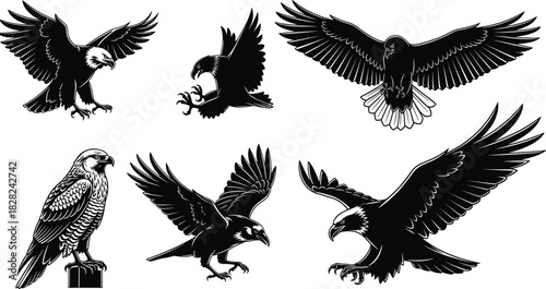 PrintSilhouette of bald eagle vector illustration set, black and white bird of prey collection for logo design, isolated on white background, flying hawk icon.