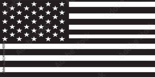 High-contrast black and white version of the United States flag with smooth clean geometry