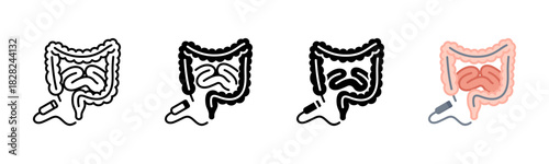 Colonoscopy Icon, Multi Styles Icon Set