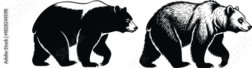 Side View Black Silhouette and Detailed Engraving Vector Illustration Set of Two Walking Grizzly Bears for Wildlife, Nature, and Animal Logo Design