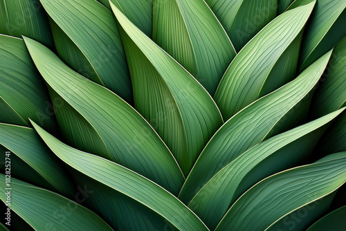 Stylized Geometric Succulent Foliage Pattern with Ribbed Details
