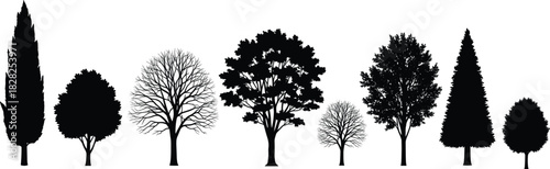 Collection of diverse tree silhouettes showcasing various species in detailed black shapes for nature design, botanical illustration, and landscape artwork