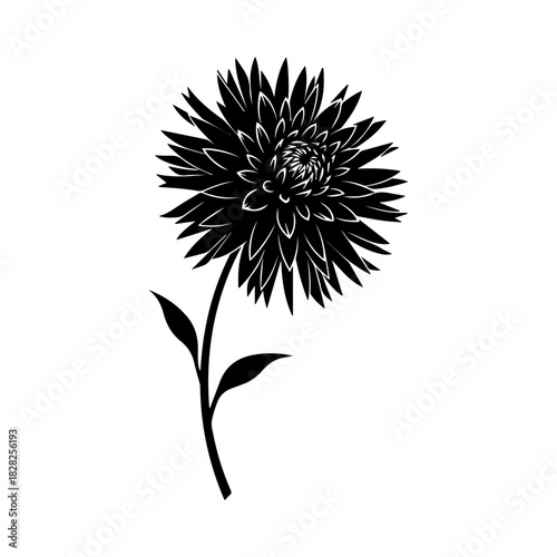 Dramatic botanical graphic capturing exquisite natural elegance in a single bloom