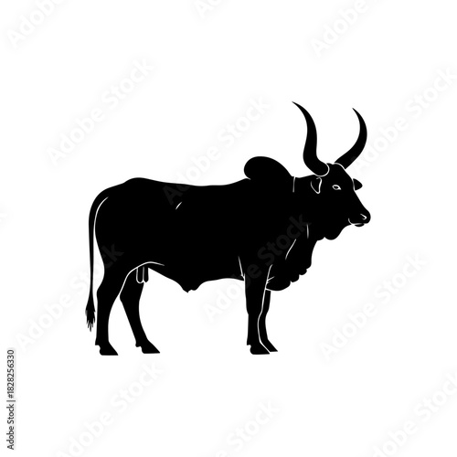 Majestic domestic cattle with striking silhouette, showcasing unique anatomy