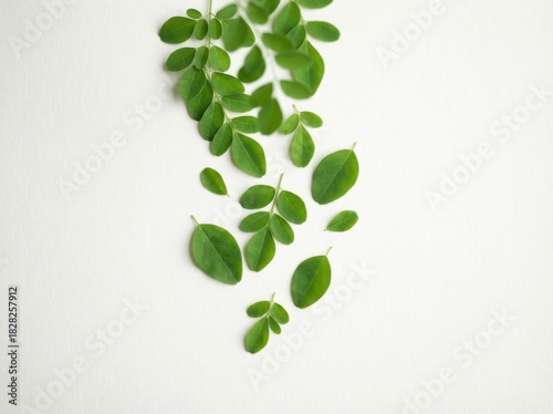Close-up shot of fresh green moringa leaves scattered on a white surface, showcasing natural beauty.