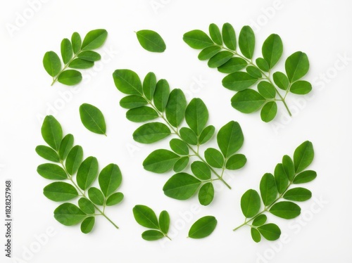 Overhead shot of fresh green moringa leaves scattered on a white surface, showcasing their vibrant color.