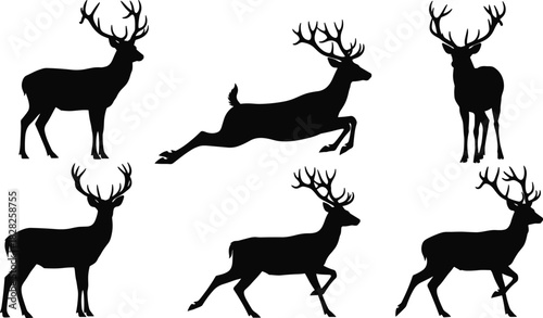 Deer silhouette collection, black antlered deer, wildlife poses, forest animal design, vector illustration, hunting icon, nature graphic set
