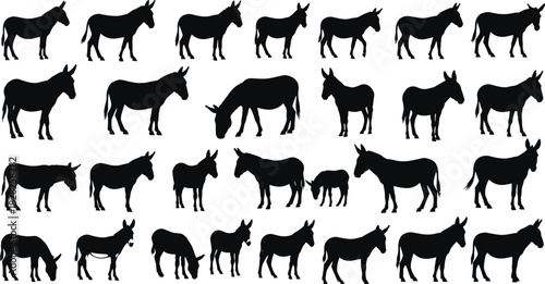 Donkey silhouettes, animal posture grid, black shapes, visual puzzle, standing donkey, walking donkey, bending donkey, educational, cognition, pattern, recognition, farm animal, wildlife