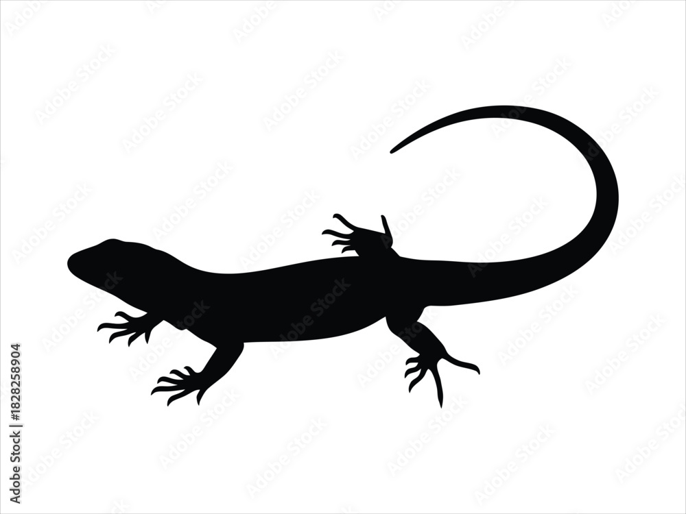 Fototapeta premium Silhouette of a gecko lizard with a curved tail on a white background