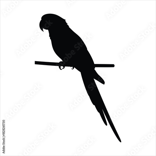 Silhouette of a Parrot Perched on a Branch A Striking Black and White Illustration