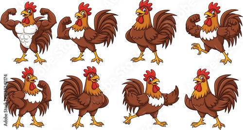 Cartoon rooster character set with muscular and regular poses, flexing arms, farm animal vector illustration for humorous stock content