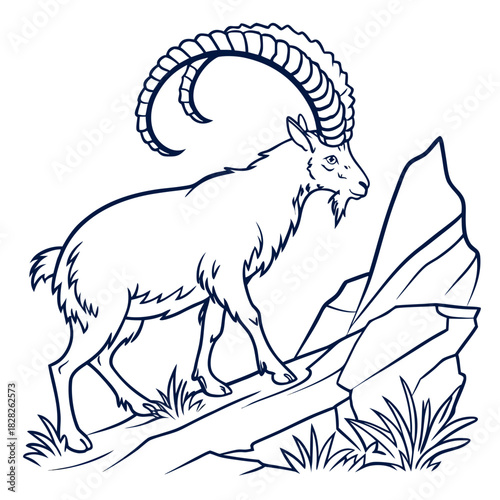 A majestic ibex with large curved horns walks carefully on a rocky mountain slope with sparse grass and jagged rocks in a clean line art illustration