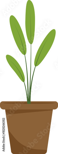 vector green plant in a pot