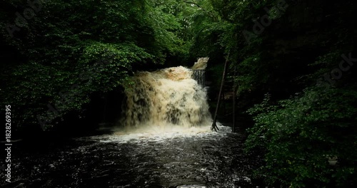 Waterfall in a leafy forest