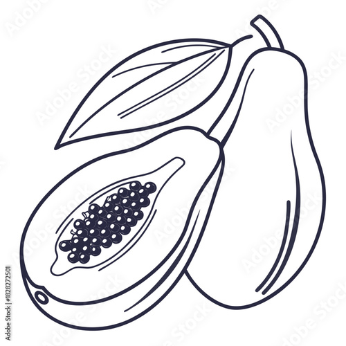 A simple line art illustration of a whole papaya and a papaya cut in half revealing its seeds and flesh accompanied by two leaves