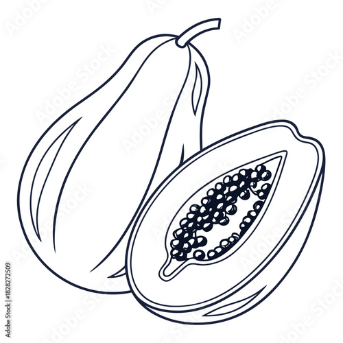A simple line drawing illustration of a whole papaya fruit and a halved papaya showing its seeds and flesh isolated on a white background
