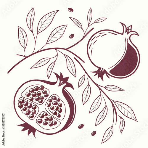 Stylized illustration of a whole pomegranate and a halved pomegranate with visible seeds on a branch with leaves and scattered seeds against a light background