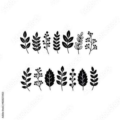 Botanical branch and leaf silhouette set, decorative elements
