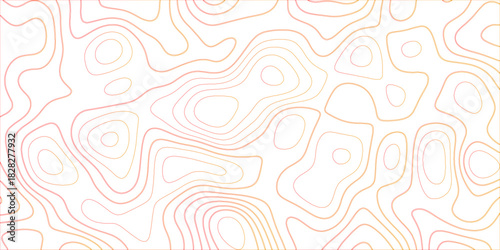 Topographic canyon geometric map relief texture with curved layers and shadow. abstract White background with a beautiful pattern, Topographic contour lines vector map seamless pattern vector.