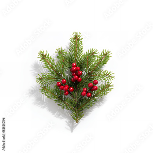 Christmas touch with leaves and red berries