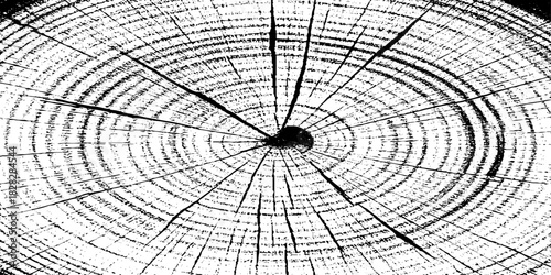 wood grungy abstract texture background with chaotic black ink splatters. scratches and scattered stains on a white surface. the design feels raw, distressed, and messy.