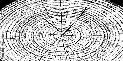 wood grungy abstract texture background with chaotic black ink splatters. scratches and scattered stains on a white surface. the design feels raw, distressed, and messy.