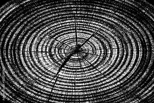 wood grungy abstract texture background with chaotic black ink splatters. scratches and scattered stains on a white surface. the design feels raw, distressed, and messy.