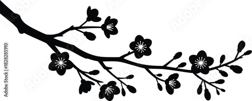 Black silhouette of plum blossom branch with open flowers and buds black and white