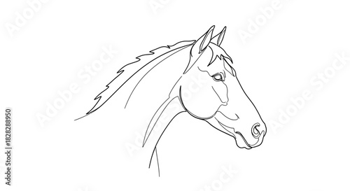 Elegant line art illustration of a horse head against clean white background