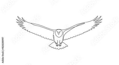 Cuadro en lienzo Dynamic Line Art Illustration of an Eagle in Full Flight with Detailed Wingspan