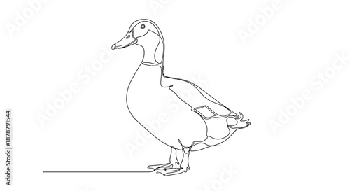 Elegant minimalism: A continuous line illustration capturing the essence of a duck