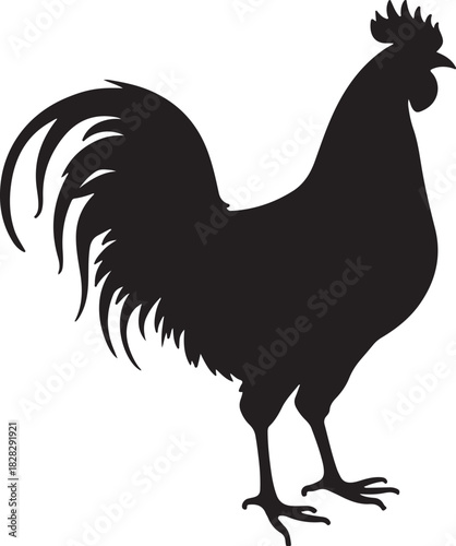 Black silhouette of a rooster with a detailed tail