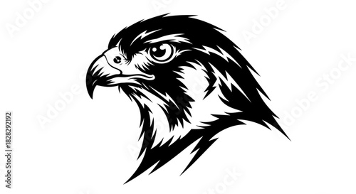 Black and white illustration of a hawk's head in profile against a white background.