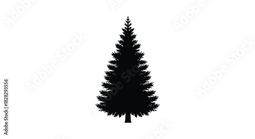 Elegant evergreen tree silhouette on white background for design projects silhouette