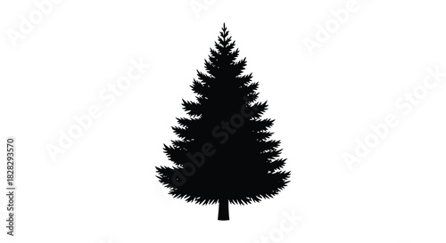 Elegant evergreen tree silhouette on white background for design projects silhouette