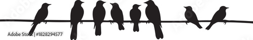 Black silhouettes of birds perched on a wire vector