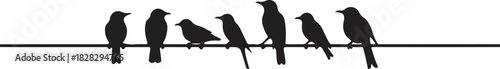 Black silhouettes of seven birds perched on a thin horizontal line