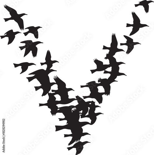Flock of birds flying in v formation silhouette vector